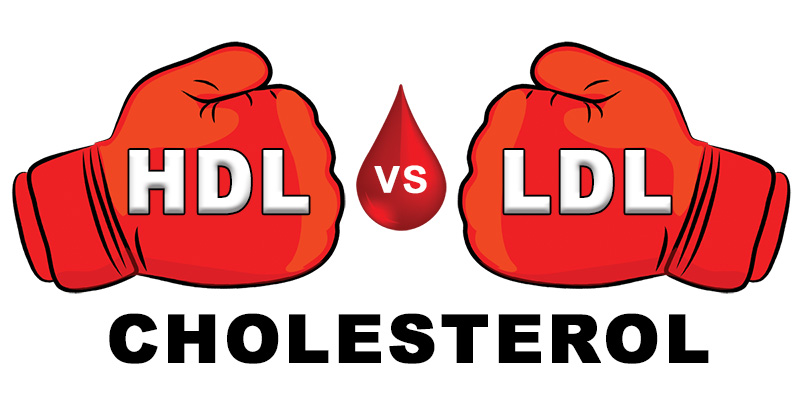 difference between hdl cholesterol & ldl cholesterol